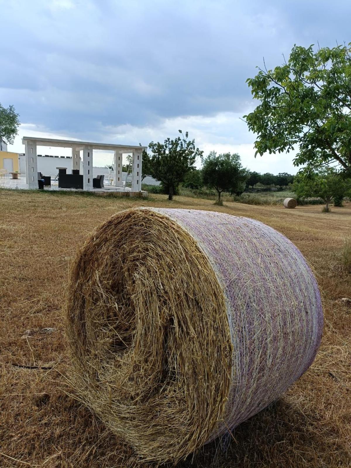 Casa Loredana Putignano Buitenkant foto